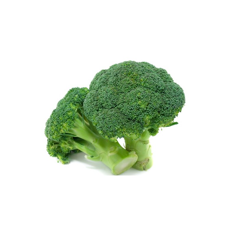 BROCOLI ECO PRIMERA